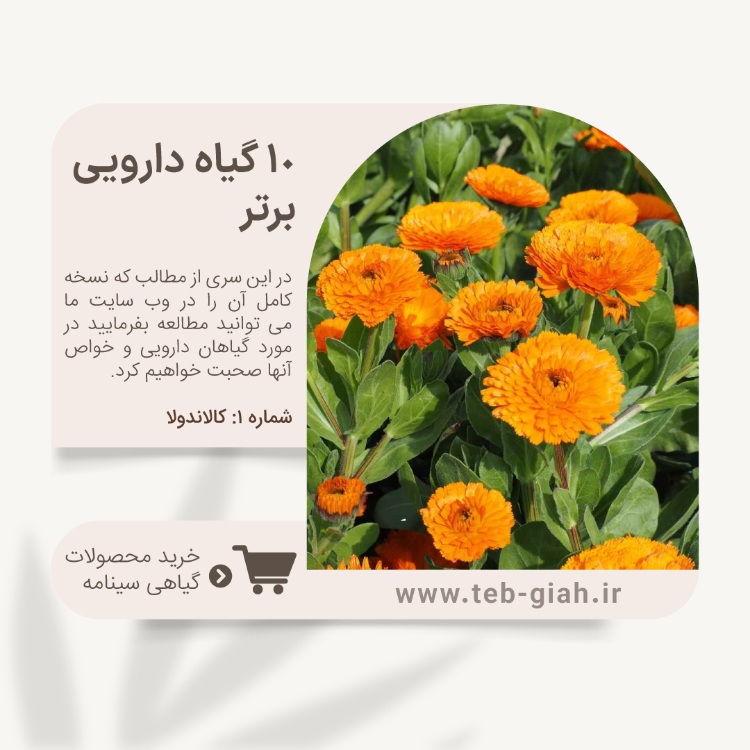 10 گیاه دارویی برتر